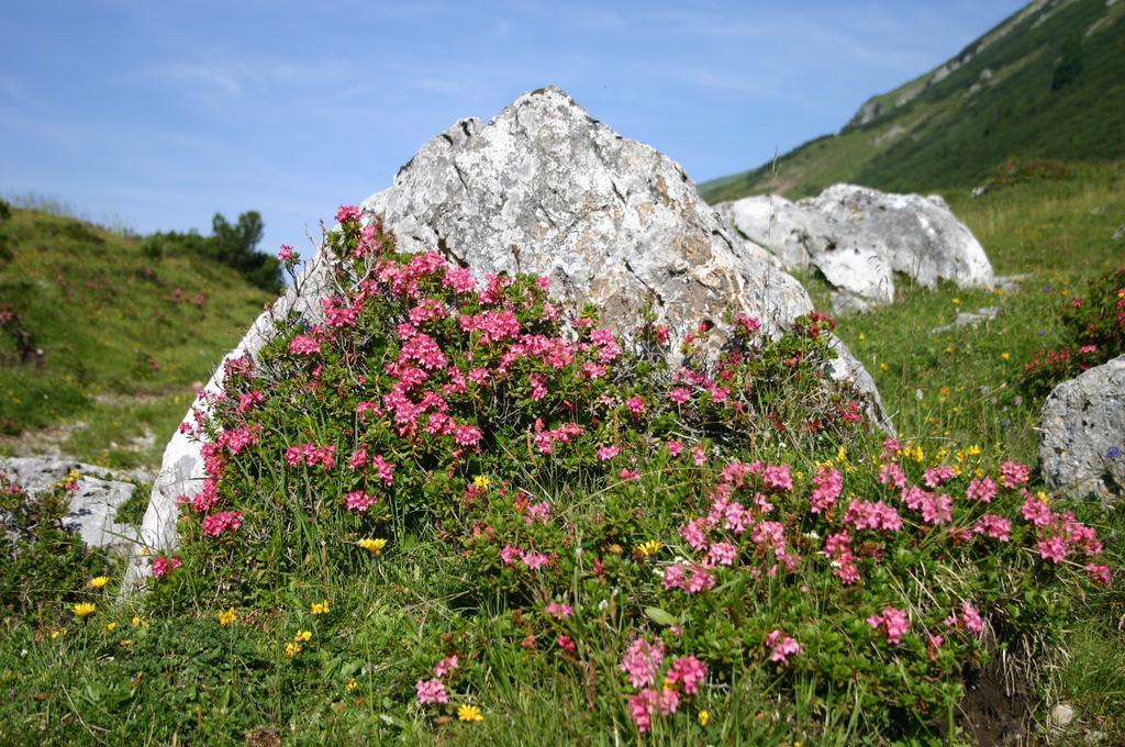 Gasthof Zur Gemütlichkeit Bschlabs Exterior foto