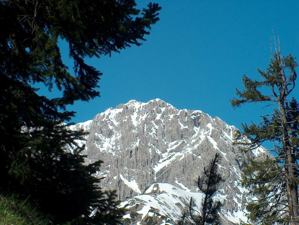 Gasthof Zur Gemütlichkeit Bschlabs Exterior foto